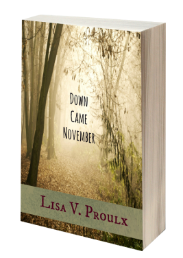 Down Came November 3D book cover